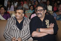 Shambhala Movie Success Meet Stills